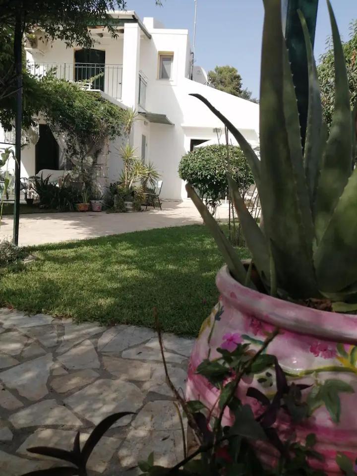 Villa Place In The Sun Villa, *